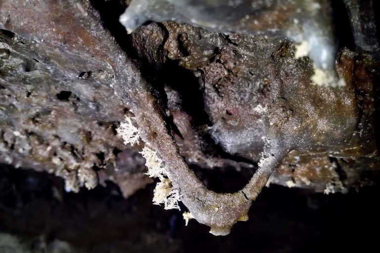 Vulkanische speleologie Cueva de Las Palomas (ES-EN)