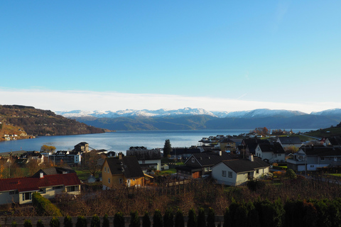 Tour guiado pelo Fiorde de Hardanger, cachoeiras e travessia de balsa