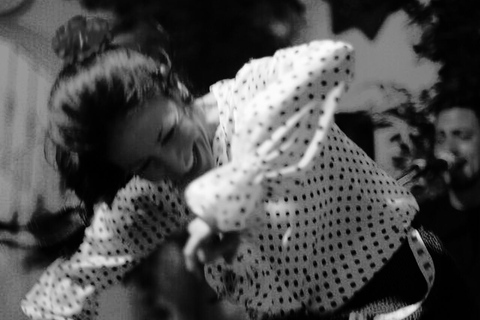 Cordova: spettacolo di flamenco e cena gourmet in un patioCordoba: spettacolo di flamenco e cena gourmet in un patio