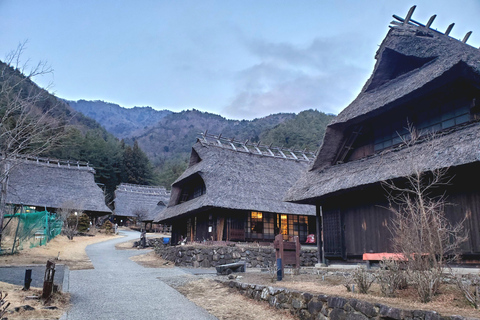 Viaje de 3 días a Tokio, el Monte Fuji y Hakone