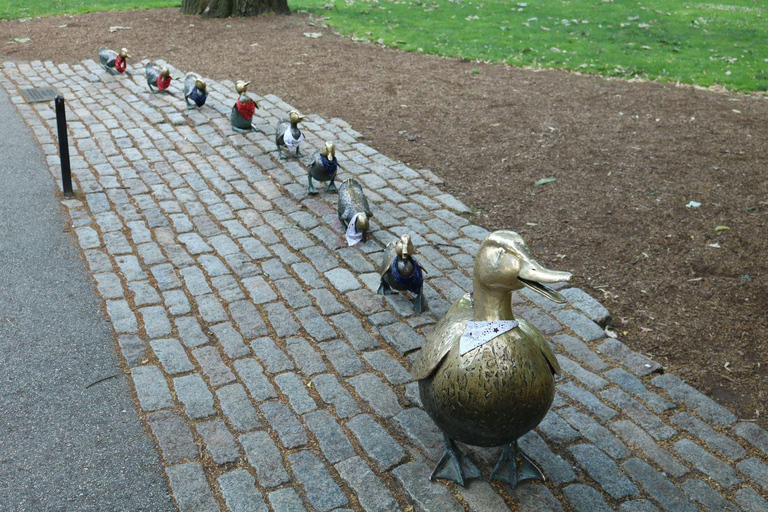 Best of Boston: Full-Day Private Tour