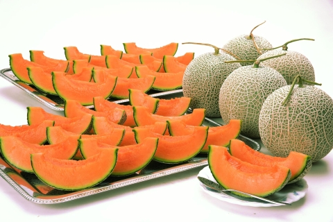 Hokkaido Asahiyama Zoo Tour with Melon Buffet Option Standard Plan No Melon Incruding