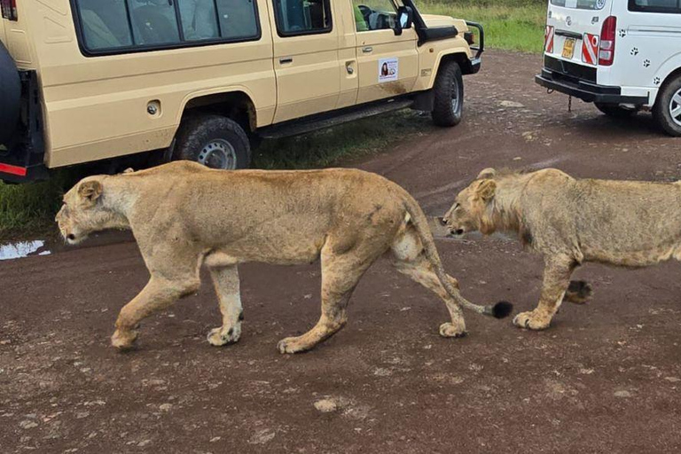 Nairobi National Park Evening Game Drive & sundowner Nairobi National Park Evening Game Drive & sundowner - VAN
