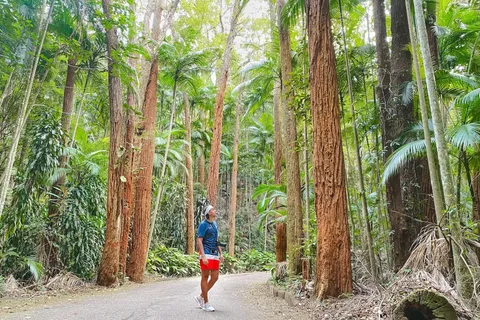 Rio’s Green Treasures: Tijuca Forest & Jardim Botânico Tour
