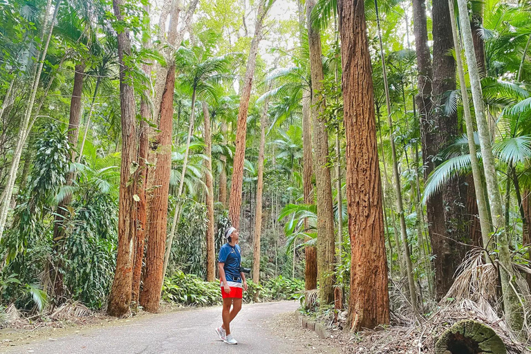 Tropical Wonders: Discover Rio's Jardim Botânico & Tijuca