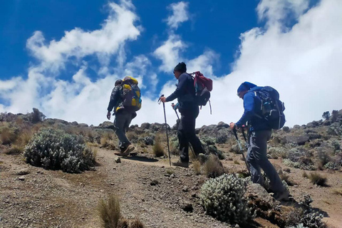 Arusha: 3-daagse trektocht over Mount Meru met accommodatie