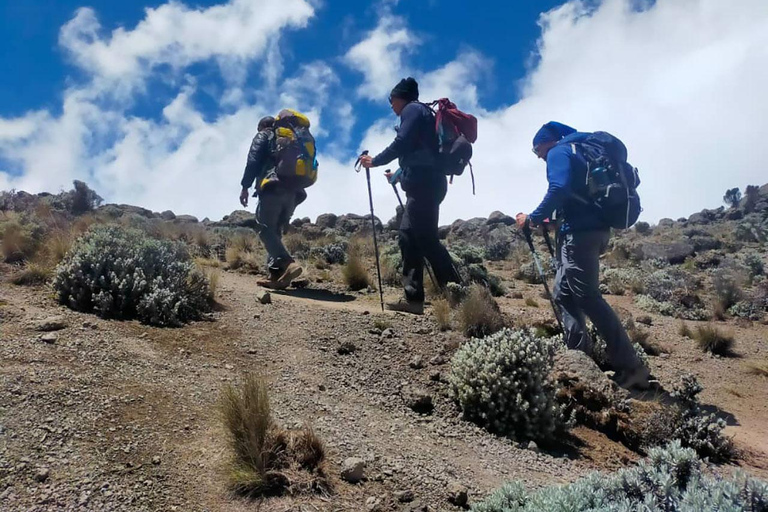 Arusha: Mount Meru 3-Day Trekking Tour with Accommodation