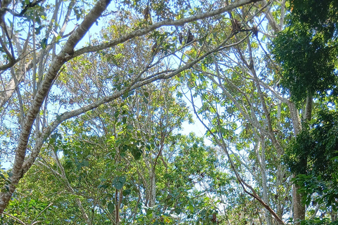 3-Day Amazon Expedition: Jungle, River & Wildlife Tour