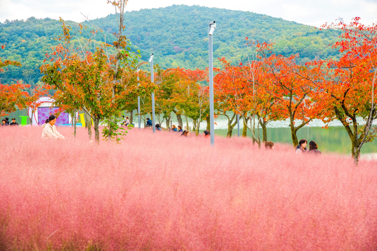 Busan: Gyeongju Autumn Foliage Day Tour with Historic Sites Shared Tour, Meet at Haeundae Station