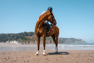 Binic Etables-sur-Mer: Horseback ride on the Breton coast