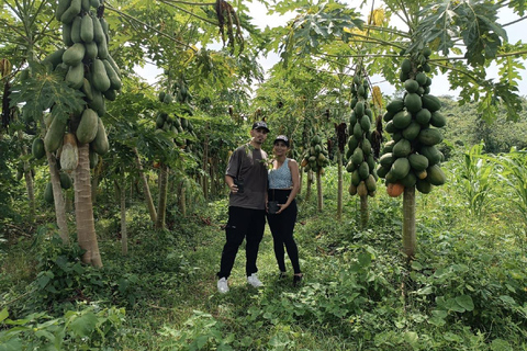 UTV & Horseback Tour with Wildlife Views from Cartagena