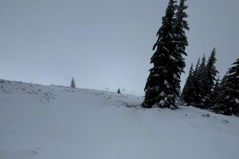 Vitosha: Ski Day Trip by Mountain Stars Ski School