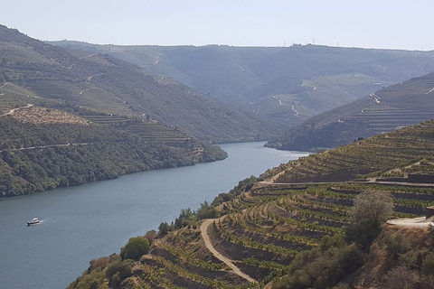 From Porto: Douro Valley Wine Tasting Tour With Hotel PickupPickup at Hotel