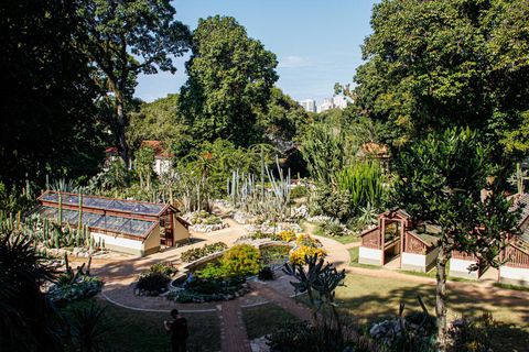 Rio de Janeiro: Botanischer Garten und Tijuca-Wald JeeptourVon South Zone Hotels: Französischsprachig