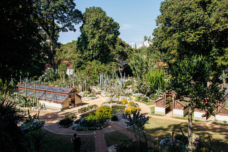 Rio de Janeiro: Botaniska trädgården och Tijuca Forest Jeep TourFrån Barra da Tijuca Hotels: Fransktalande