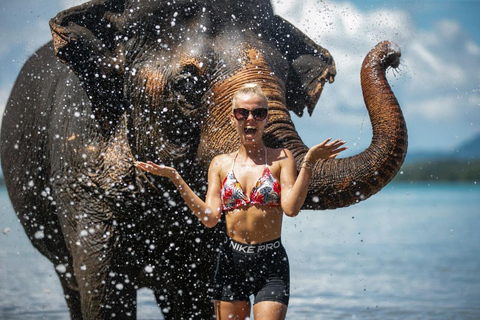 Programme d&#039;une demi-journée avec un éléphant sur la plage (3h30)Nourrir et baigner les éléphants sur une plage privée