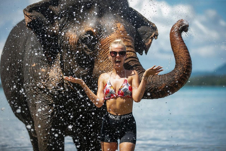 Programa de medio día con elefante en la playa (3,30 horas)Alimentar y bañar a los elefantes en la playa privada