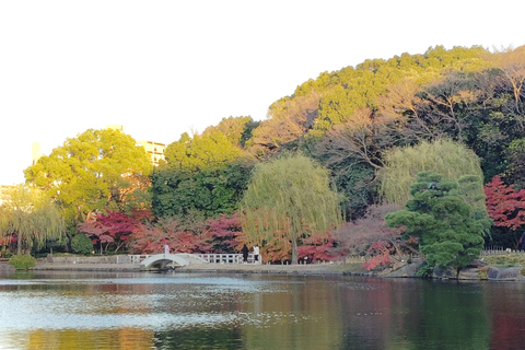 Nagoya: Exploring the Beauty of Tokugawa-en Garden