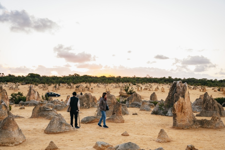 Perth: Pinnacle Desert Sunset y observación de estrellas con cena