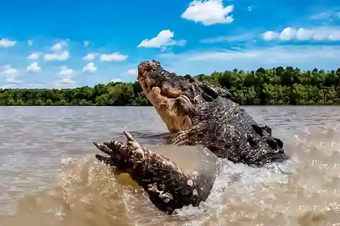Iquitos: Expedición de 4 días por la vida salvaje y la cultura del Amazonas