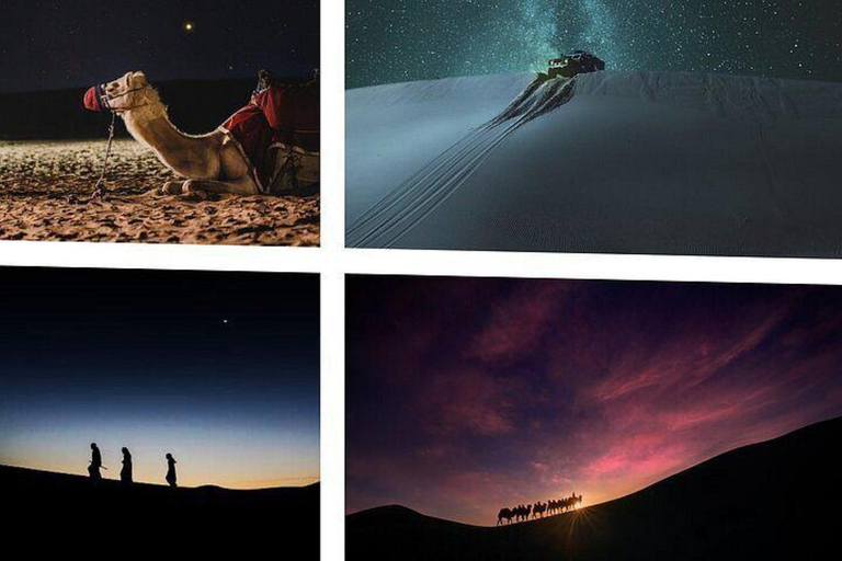 Doha: Night Desert Safari Stargazing & Camel Ride Shared Tour Pick-up From Meeting Point Without Camel ride