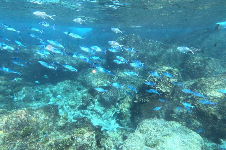 Noleggio barche private di lusso a Praslin, Seychelles