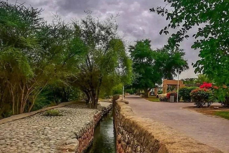 Desde Mascate: Excursión de un día completo al Fuerte, Zoco, Falaj y Museo de Nizwa