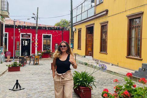 Santiago: Valparaíso + Boat + Viña del Mar + Tasting at Boutique Winery Santiago: Valparaíso + Boat + Viña del Mar + Tasting at Viña Boutique