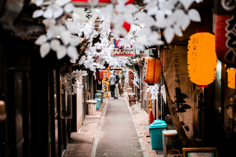 Tokio: One Day Charter Private Tour mit englischem Fahrer