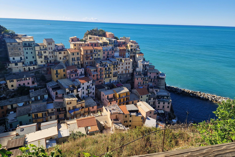 Florence: Cinque Terre & Pisa Day Trip with Transfers ECO-LOGIC Tour of 5 Terre and Pisa