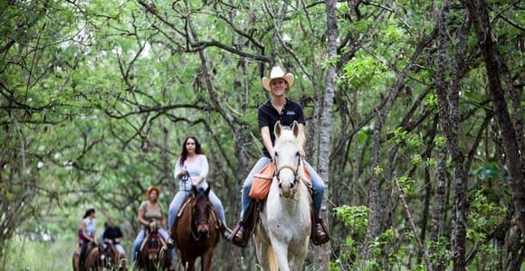Oahu: Sunset Horseback Ride with North Shore Views