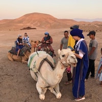Marrakech，Agafay Desert Quad＆Camel乘坐晚餐表演 - Housity