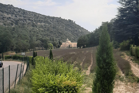 Avignon: Luberon, Gordes, and Roussillon Half-Day Tour