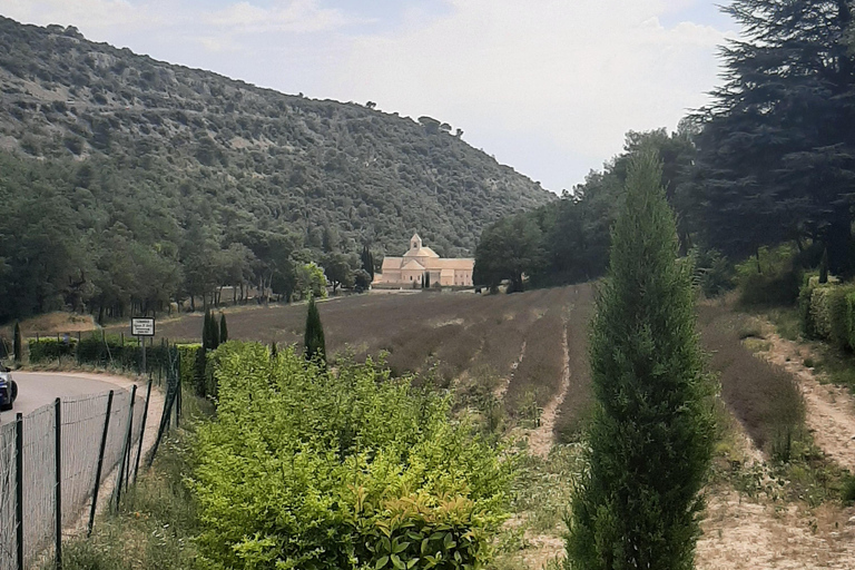 Avignon: Luberon, Gordes, and Roussillon Half-Day Tour