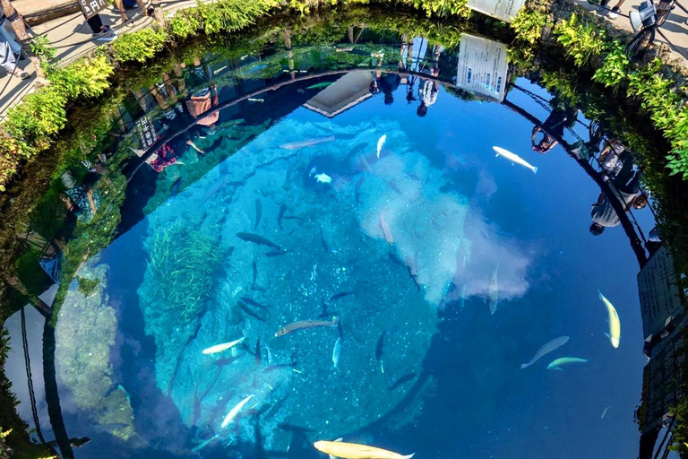 Tokyo: Mt. Fuji Tour, Hakone Ropeway, Owakudani, Lake Ashi Mt. Fuji Day Tour--Departure From Tokyo Station 8:00am