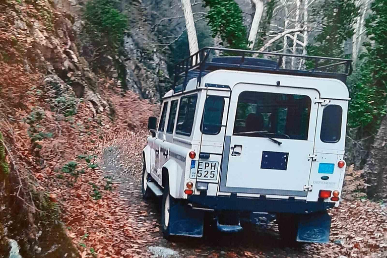 Um dia inesquecível num safari de Pafos às montanhas de TroodosUm dia inesquecível num safari desde Pafos até às montanhas de Troodos