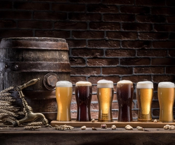 Praga: Descubre Bohemia-Tisa Rocks, Bastei & Brewery Tour