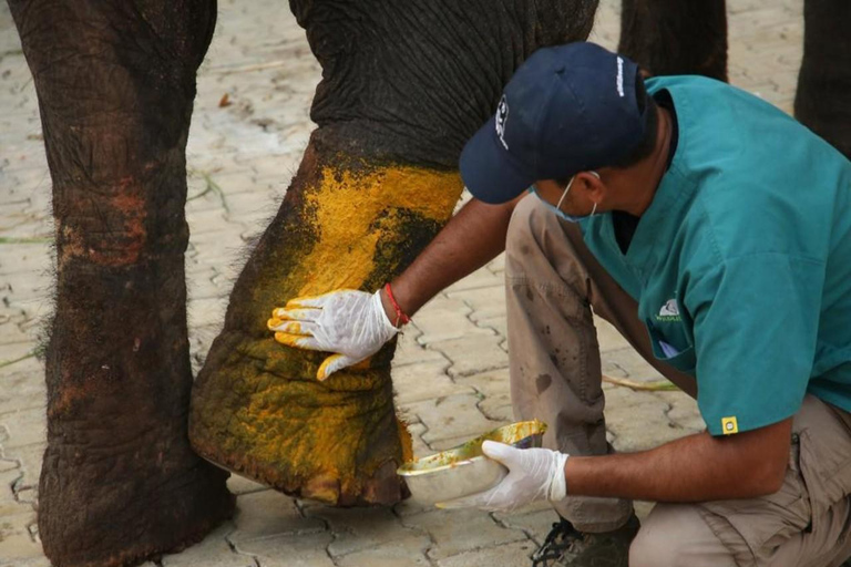 From Delhi: Day Trip to Taj Mahal, Agra Fort & Elephant SOS Car + Guide + Entrance Tickets