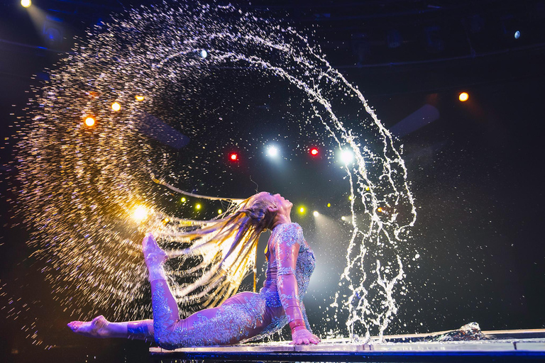 Las Vegas : WOW - The Vegas Spectacular au Rio Hotel &amp; CasinoSection des sièges réservés