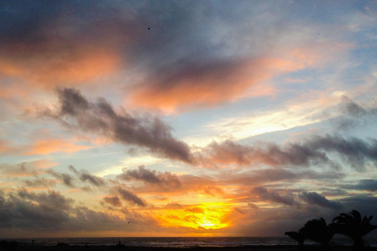 Fuerteventura: Wine Tasting and El Cotillo Afternoon Escape