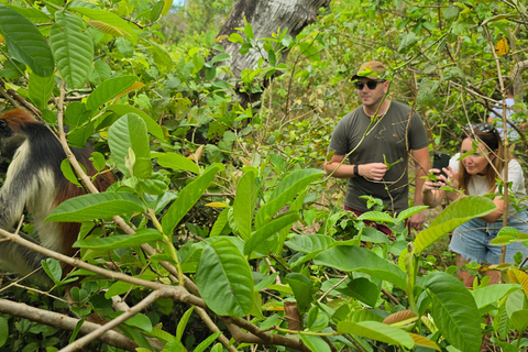 Zanzibar: Guidad tur i Jozani Forest National Park