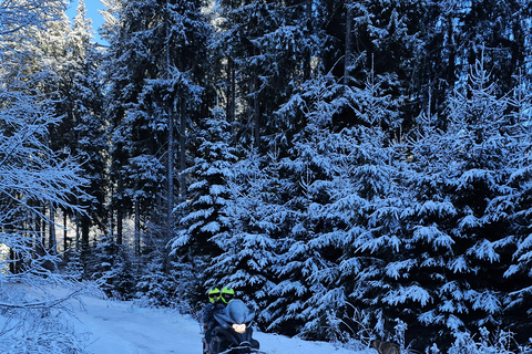 ATV or Snowmobile ride in the mountains from Bucharest