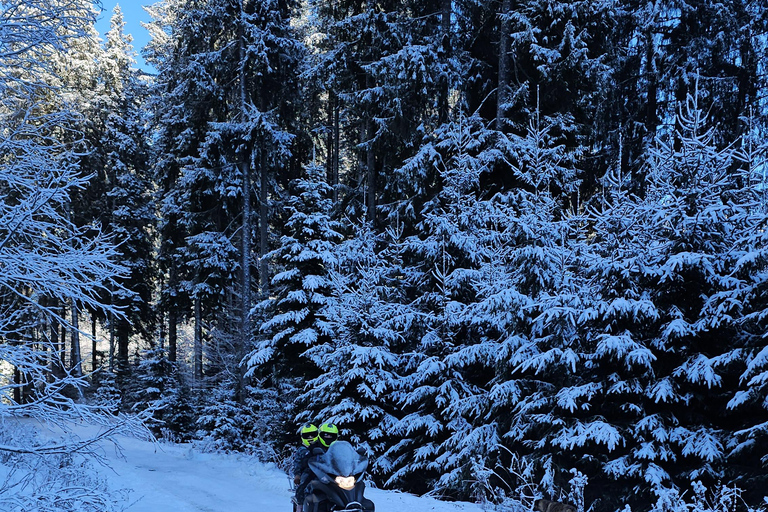 ATV or Snowmobile ride in the mountains from Bucharest