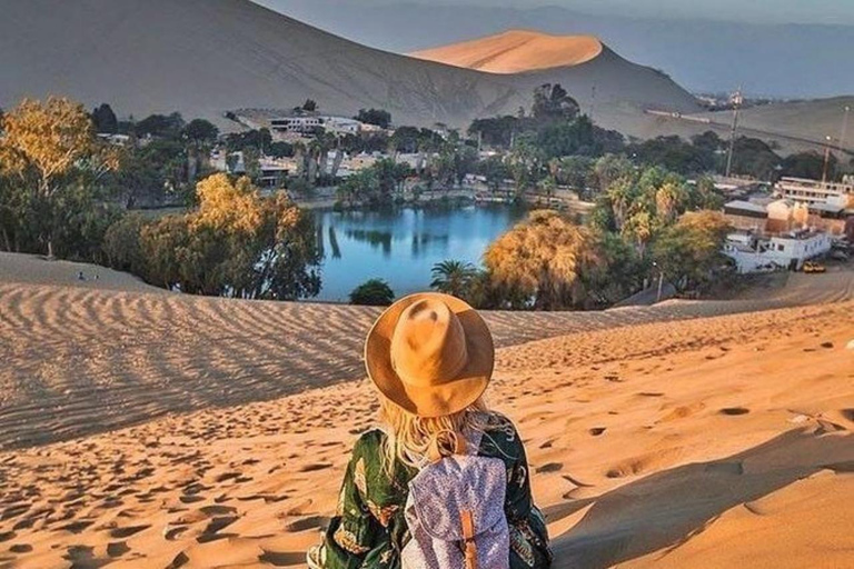 Tour di un giorno a Huacachina e Paracas