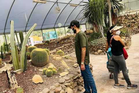 TOUR: "Dinosaur museum" with guide, transfer and tickets Monterrey: Desert Museum Tour