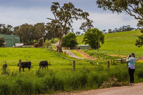 Adelaide Hills: Visita fotográfica com café