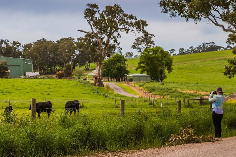 Adelaide Hills: Fotografie Tour mit Kaffee