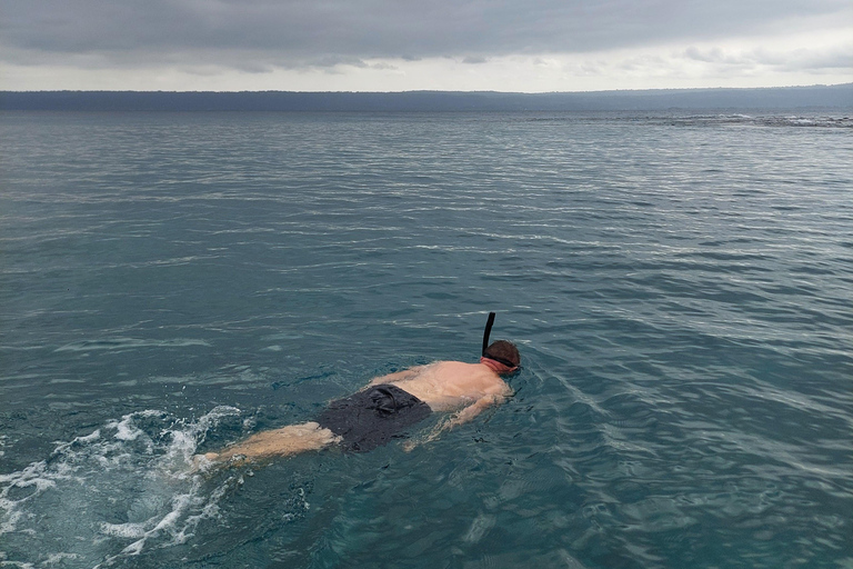 Deportes acuáticos Port Vila: Aventura de snorkel en el Triple ArrecifePort Vila: Aventura de snorkel en el Triple Arrecife