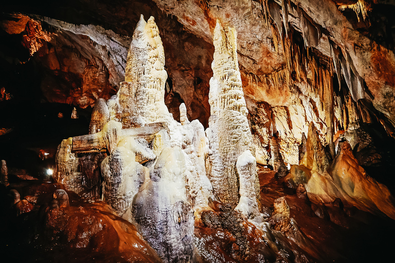 De Kotor: explorez la beauté sauvage de la grotte de Lipa