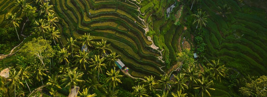 Ubud : Visite personnalisée avec chauffeur privé